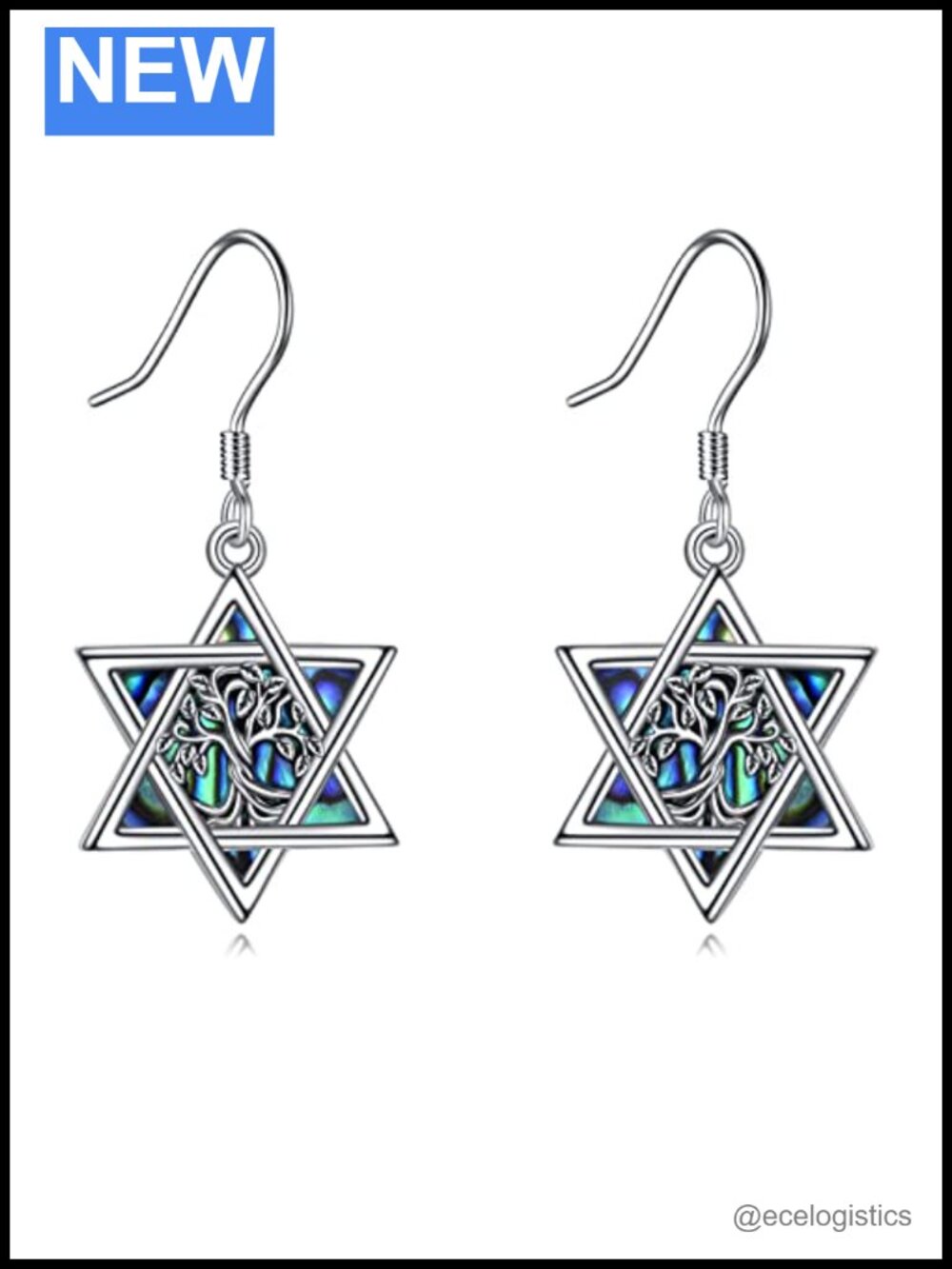 Sterling Silver Star of David Dangle Earrings Abalone Hebrew Chai